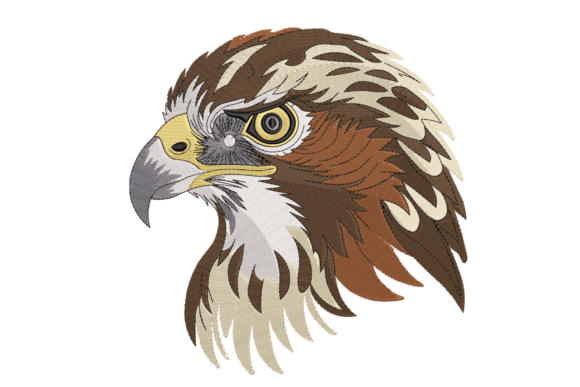 Majestic Hawk Head: A Bold Statement for Craft Fair Embroidery